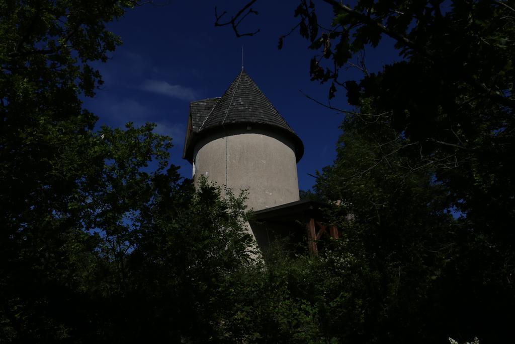 Вилла Moulin De Rouze Castelnaud-de-Gratecambe Номер фото