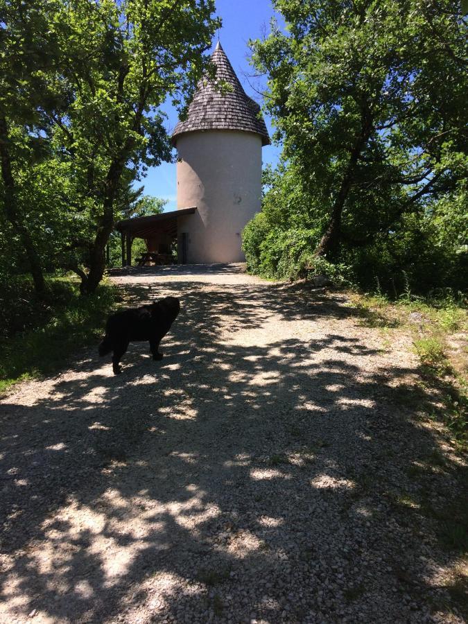 Вилла Moulin De Rouze Castelnaud-de-Gratecambe Экстерьер фото